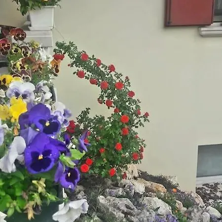 Holiday home Ama Pordenone