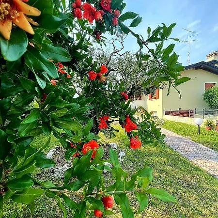 Ama Holiday home Pordenone
