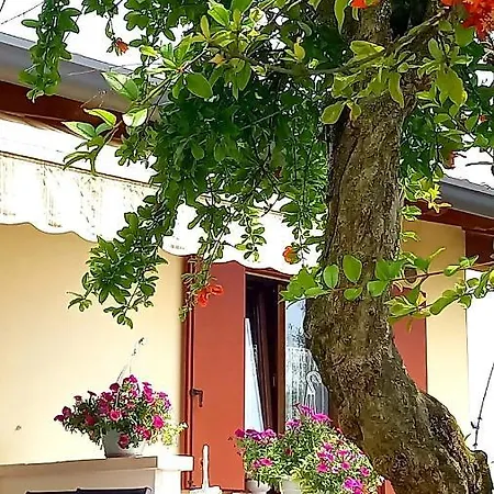 Holiday home Ama